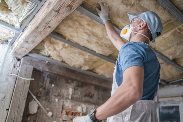 Best Insulation Maintenance and Repair in Vernon, AL