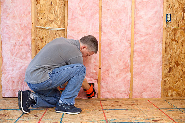 Best Specialty Insulation in Vernon, AL