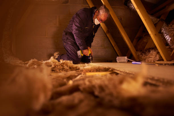 Best Insulation Installation Services in Vernon, AL